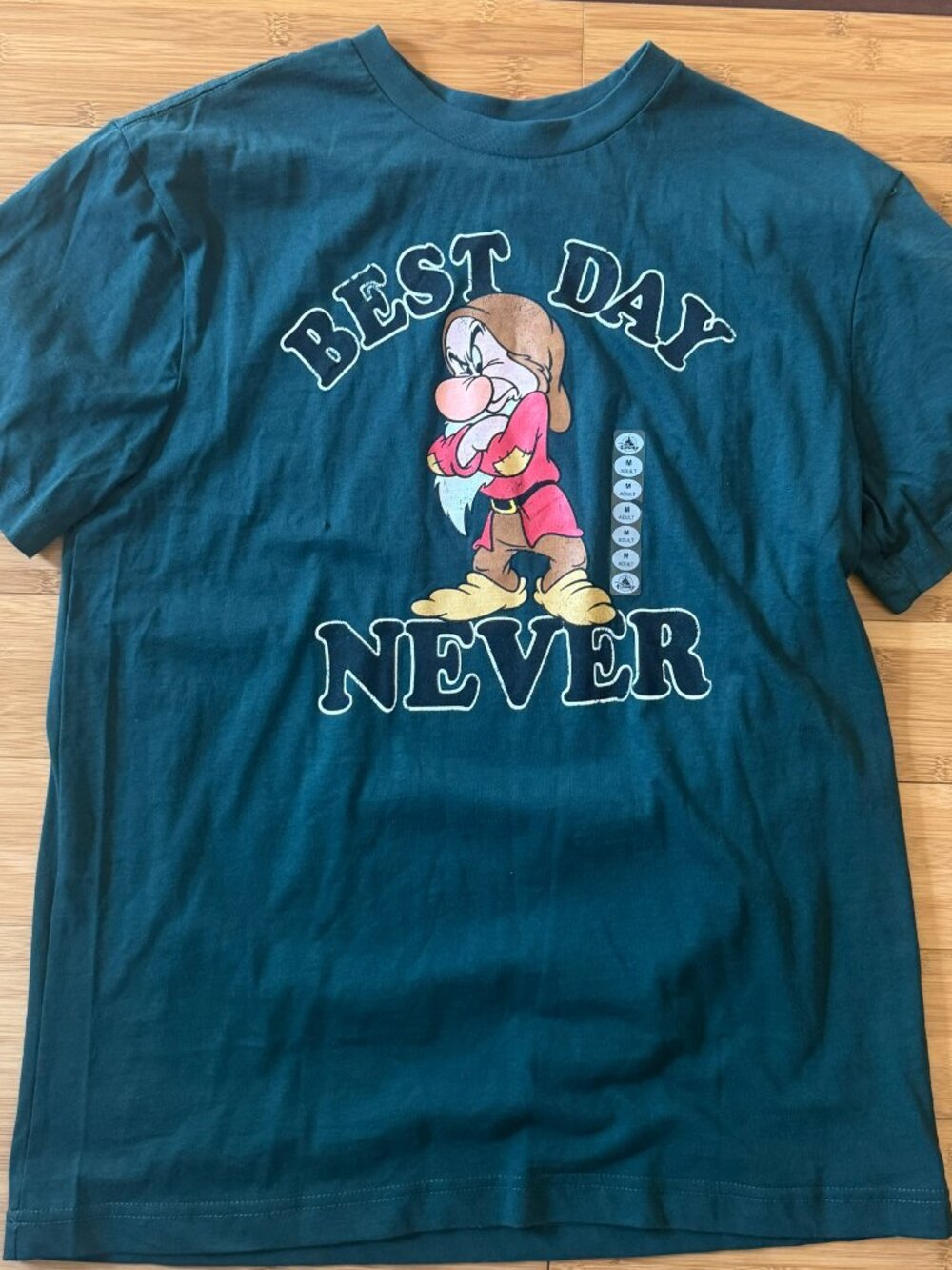 Disney Parks Grumpy Best Day Never T Shirt NWT Unisex Size Medium